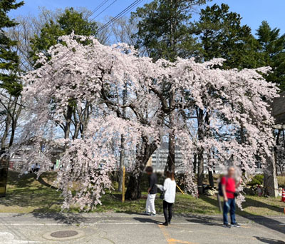 出張先での出来事