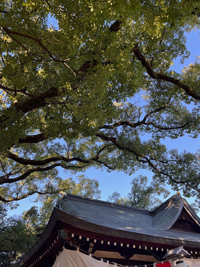 2026年 新年のごあいさつ